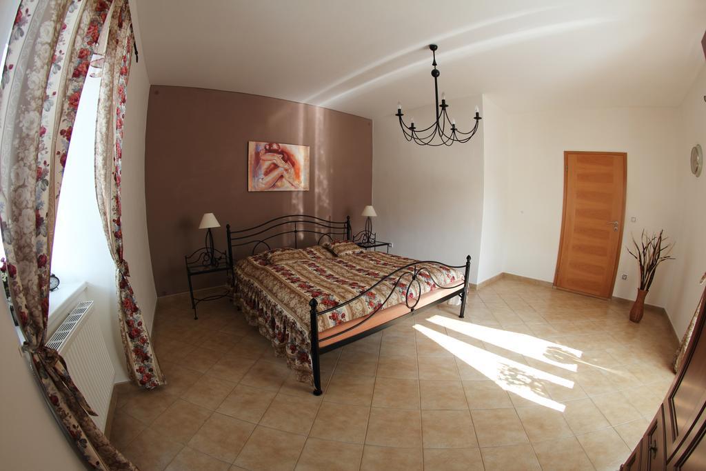 Villa Amenity Světlá nad Sázavou 部屋 写真