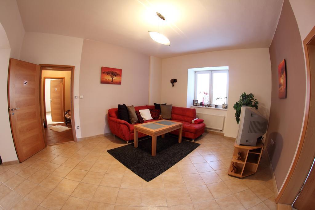 Villa Amenity Světlá nad Sázavou 部屋 写真