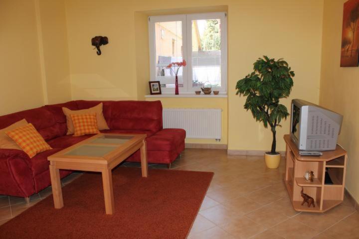 Villa Amenity Světlá nad Sázavou 部屋 写真