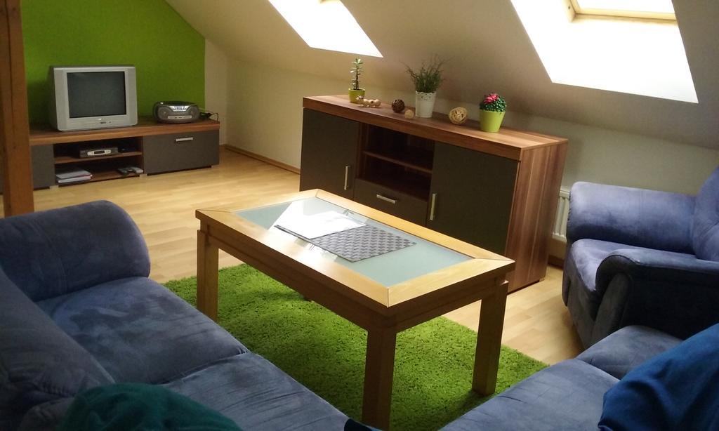 Villa Amenity Světlá nad Sázavou エクステリア 写真
