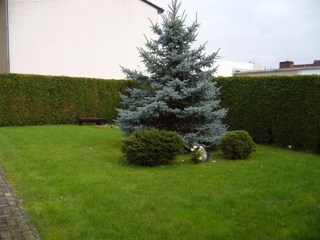 Villa Amenity Světlá nad Sázavou エクステリア 写真